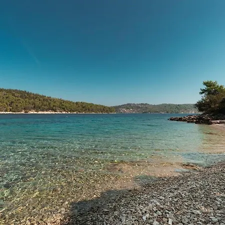 Apartman Ivana Near The Vela Luka