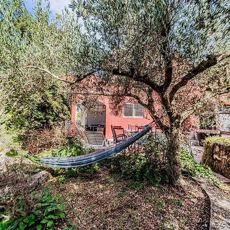 Apartman Ivana Near The Vela Luka